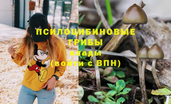 гашиш Белокуриха