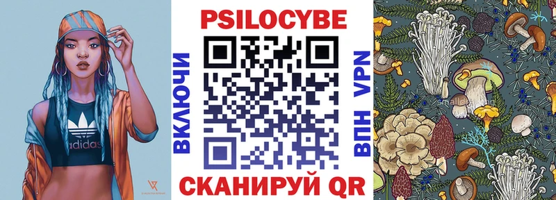 Псилоцибиновые грибы Cubensis  где продают наркотики  Яхрома 